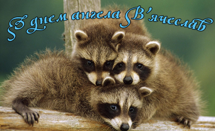 Іменини В'ячеслава