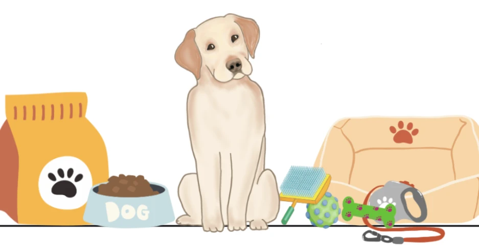 Что нужно для взрослой собаки: необходимые товары и аксессуары