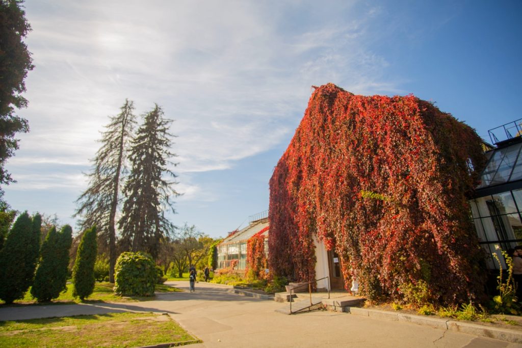 Безкоштовні локації